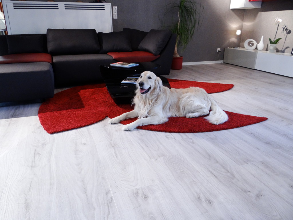 Trebes Showroom - Vinyl und Teppich
